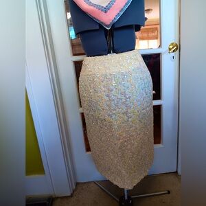 Vintage Sparkly Sequined Party Skirt!
